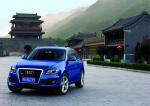 Audi Q5 3.0 TDI Quattro 2008 года